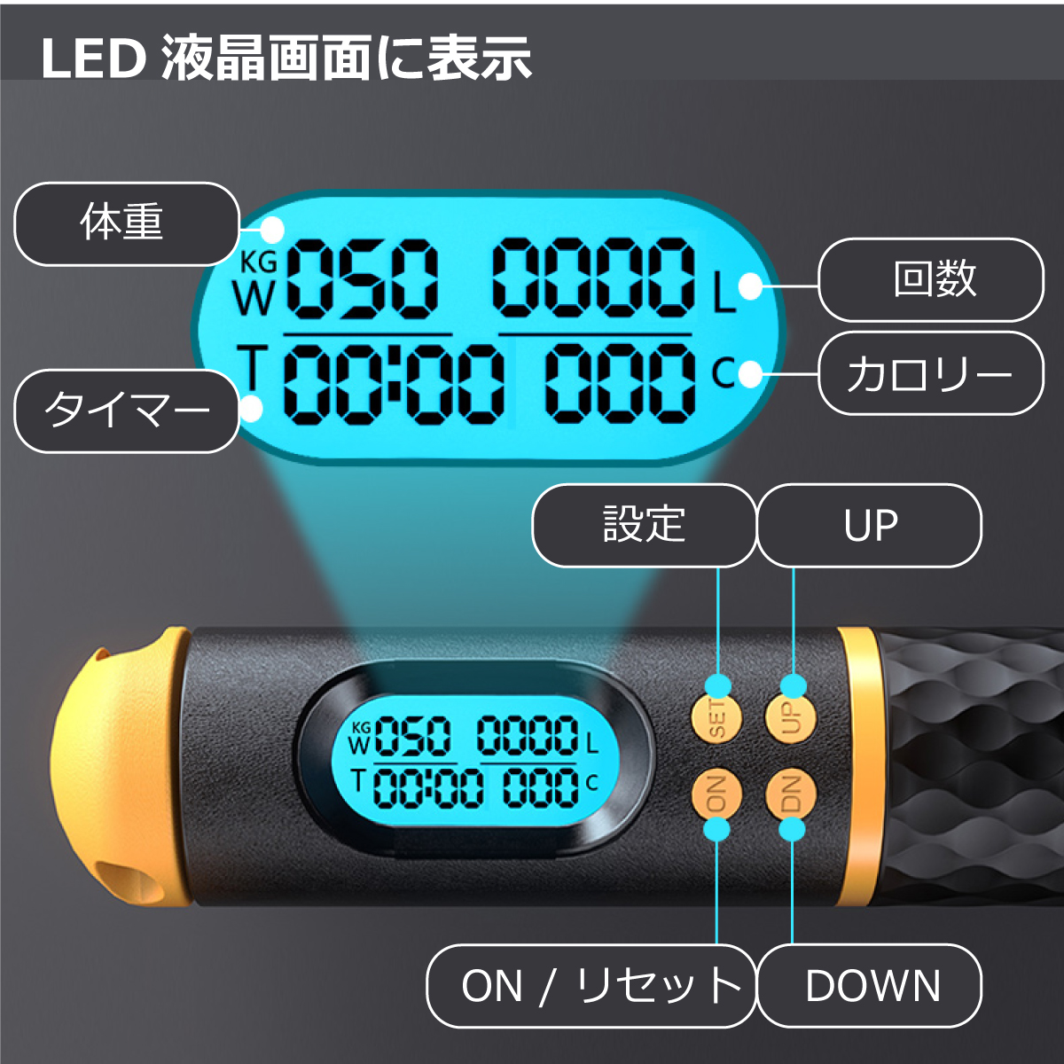 ソース画像を表示