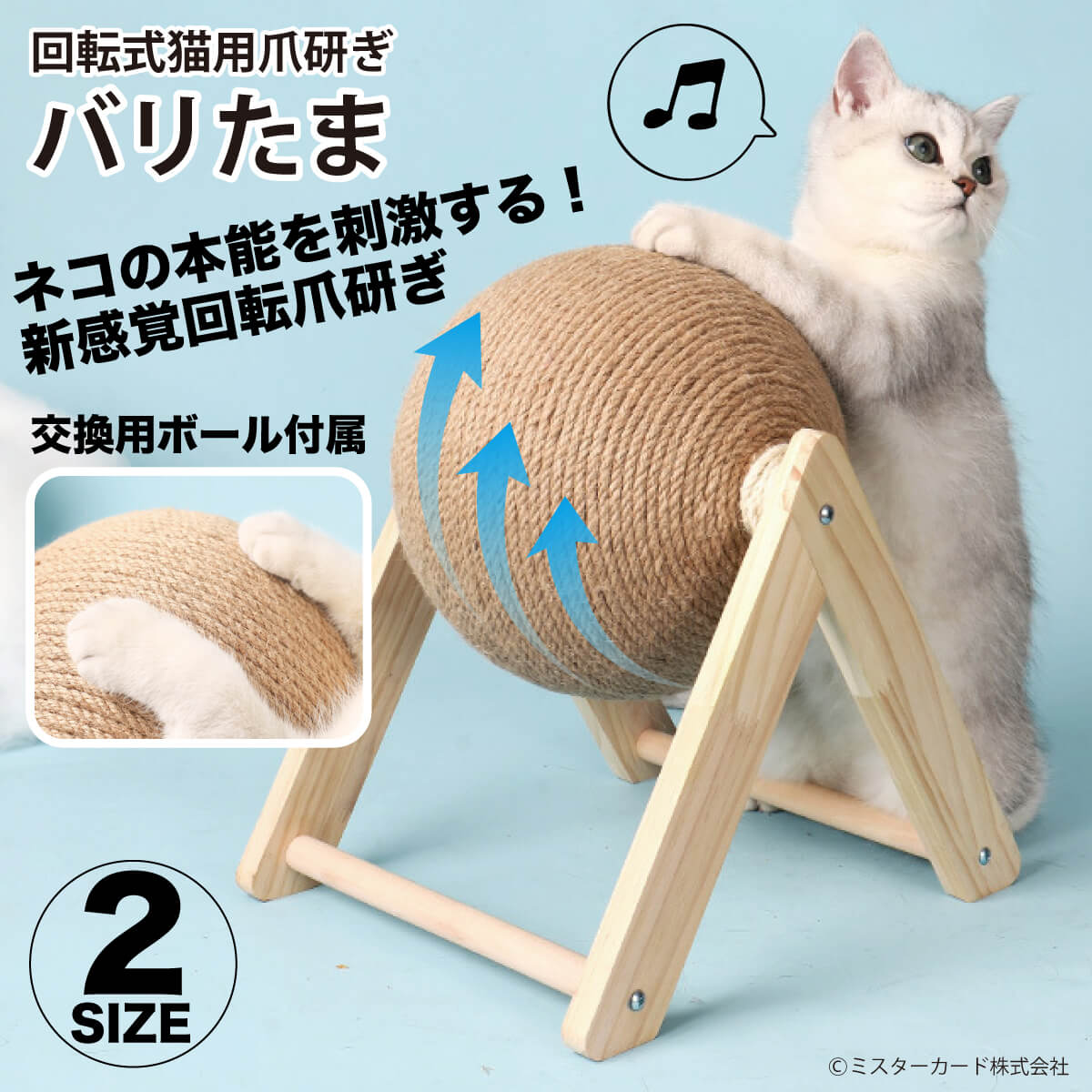 猫専用